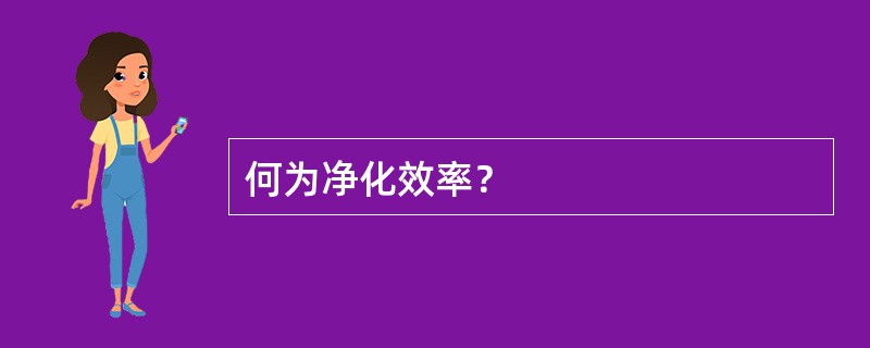 何为净化效率？