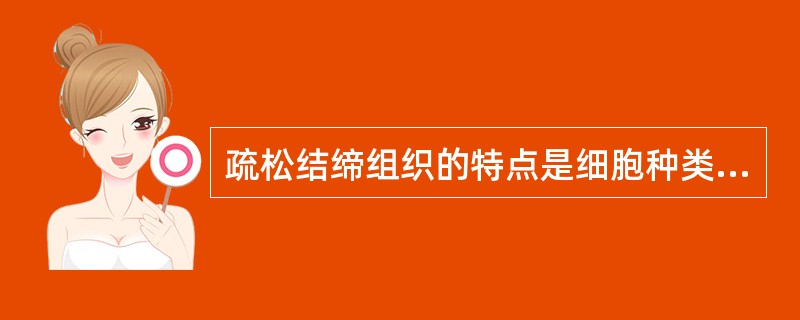 疏松结缔组织的特点是细胞种类较多，纤维数量较少，排列紧密。