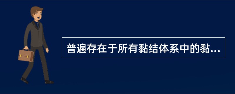 普遍存在于所有黏结体系中的黏结力是：（）