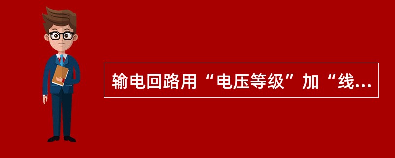 输电回路用“电压等级”加“线路名称”命名。