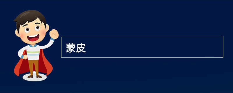 蒙皮