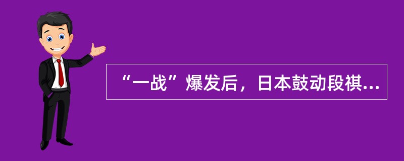 “一战”爆发后，日本鼓动段祺瑞政府出兵参战而允诺的条件是（）