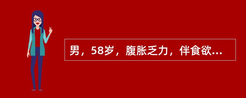 男，58岁，腹胀乏力，伴食欲不振3年。查体：巩膜轻度黄染，胸前可见2个蜘蛛痣，腹