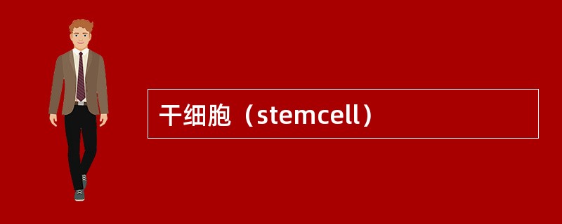 干细胞（stemcell）