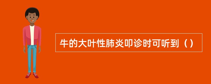 牛的大叶性肺炎叩诊时可听到（）