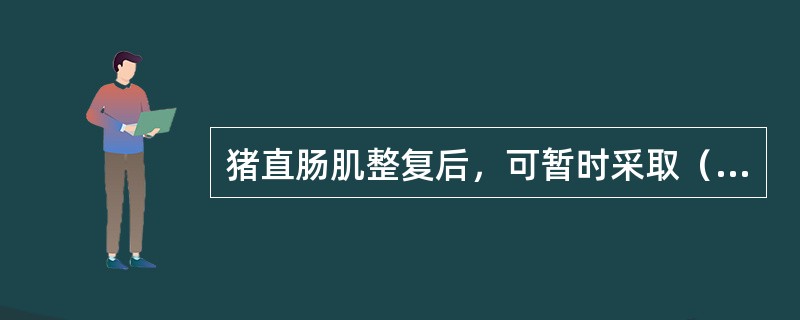 猪直肠肌整复后，可暂时采取（）缝合肛门，以防止直肠再次脱出，且中间留一小孔。