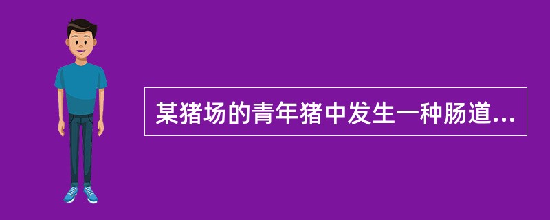 某猪场的青年猪中发生一种肠道传染病，表现为便稀，有粪中带血和黏膜，容易治疗，也容
