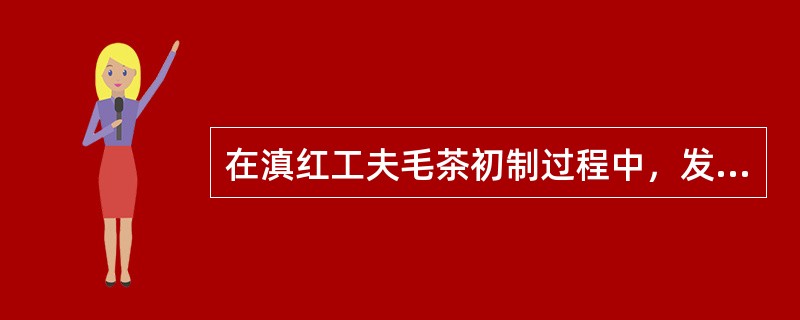 在滇红工夫毛茶初制过程中，发酵室的相对湿度最佳范围一般认为是（）。