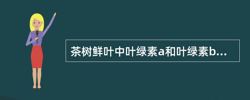 茶树鲜叶中叶绿素a和叶绿素b的比值为1：1.5。（）