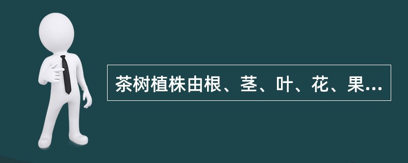 茶树植株由根、茎、叶、花、果和种子等器官构成，其中属于营养器官的一组是（）。