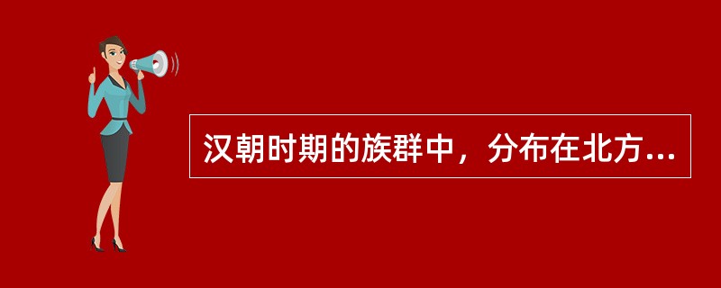 汉朝时期的族群中，分布在北方地区，以游牧为主并最终形成一个强盛的帝国的是（）。