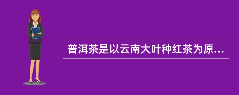 普洱茶是以云南大叶种红茶为原料加工而成。