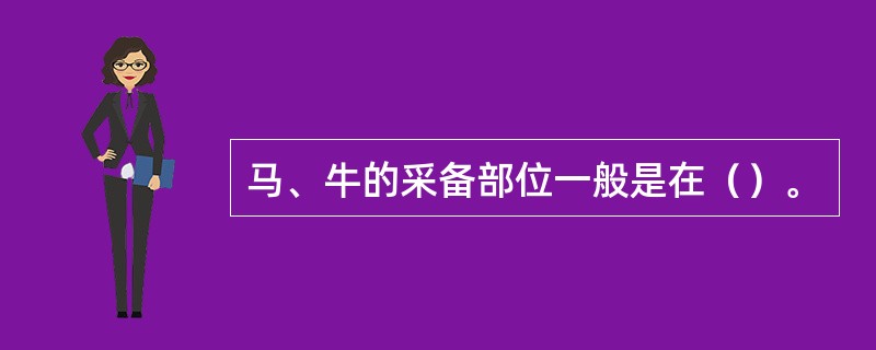 马、牛的采备部位一般是在（）。
