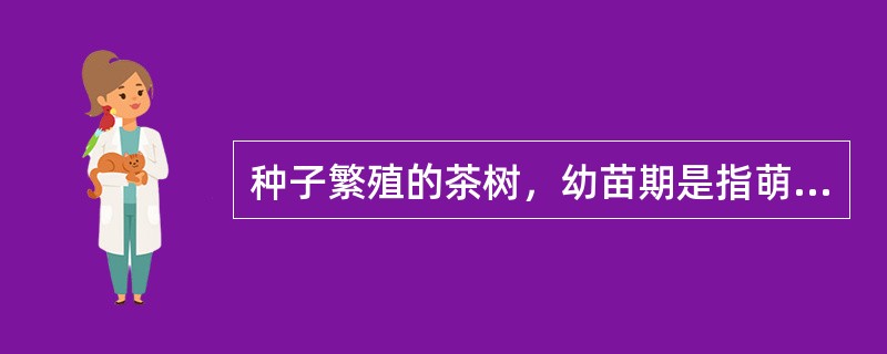 种子繁殖的茶树，幼苗期是指萌发出土至（）的时期。