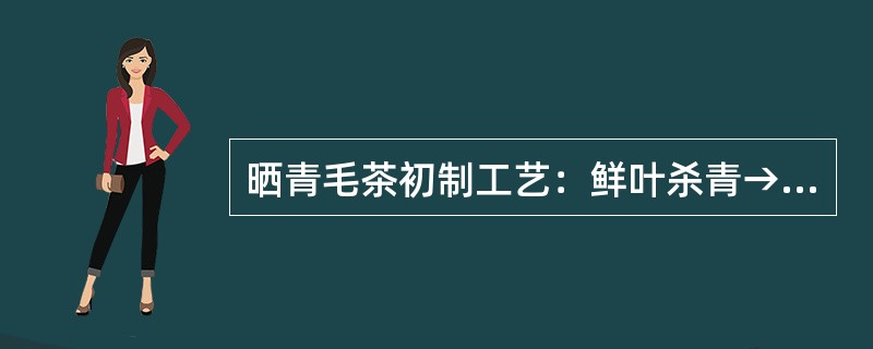 晒青毛茶初制工艺：鲜叶杀青→揉捻→（）。