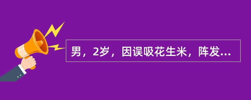 男，2岁，因误吸花生米，阵发性呛咳、呼吸困难4天入院。体格检查：T：38．9℃，