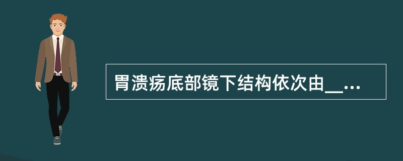 胃溃疡底部镜下结构依次由______、______、______和______四