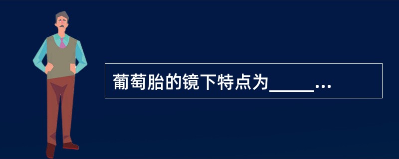 葡萄胎的镜下特点为______、______和______。