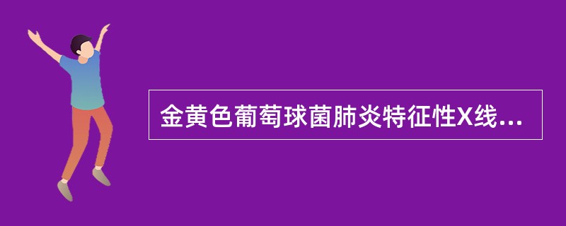 金黄色葡萄球菌肺炎特征性X线征象是()