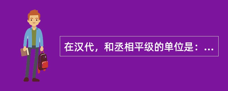 在汉代，和丞相平级的单位是：（）