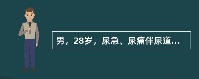男，28岁，尿急、尿痛伴尿道口脓性分泌物2天就诊，患者否认有不洁性行为史。患者因