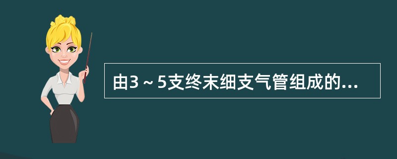 由3～5支终末细支气管组成的肺结构称为()