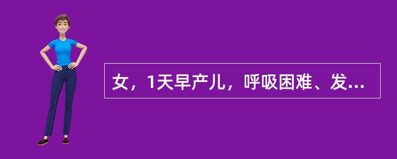 女，1天早产儿，呼吸困难、发绀，结合图像，最可能的诊断是()