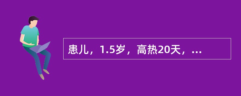 患儿，1.5岁，高热20天，食欲减退，轻咳，消瘦，青霉素治疗无效，一个半月前患过