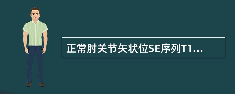 正常肘关节矢状位SE序列T1 加权像显示（）