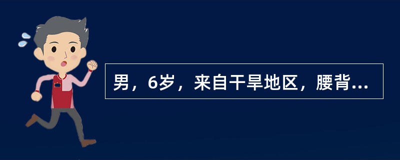 男，6岁，来自干旱地区，腰背疼痛四肢关节酸痛，结合图像，最可能的诊断是（）