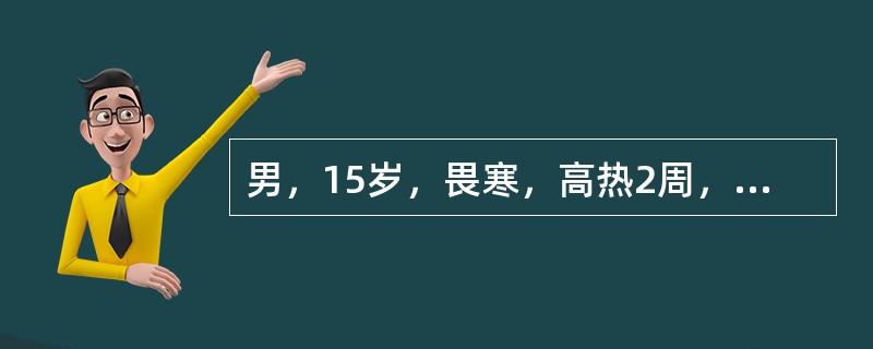 男，15岁，畏寒，高热2周，摄片如图所示，下列描述正确的是（）