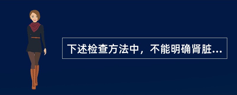 下述检查方法中，不能明确肾脏积水严重程度的检查是（）