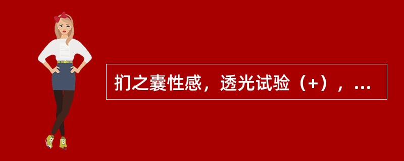 扪之囊性感，透光试验（+），双侧睾丸、附睾可清楚扪及，大小形态正常，最可能诊断为