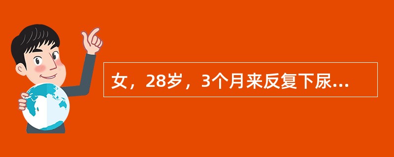 女，28岁，3个月来反复下尿路感染，一周来又出现尿频、尿急、尿痛，伴终末肉眼血尿