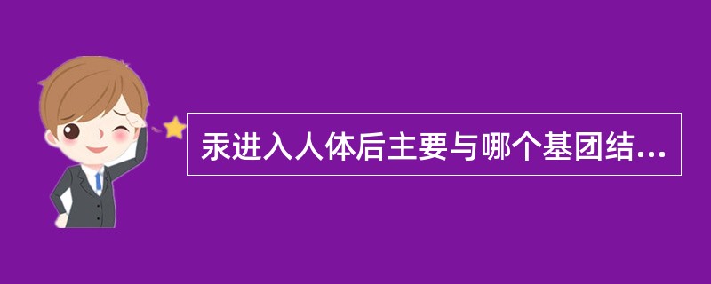 汞进入人体后主要与哪个基团结合产生毒作用（）。