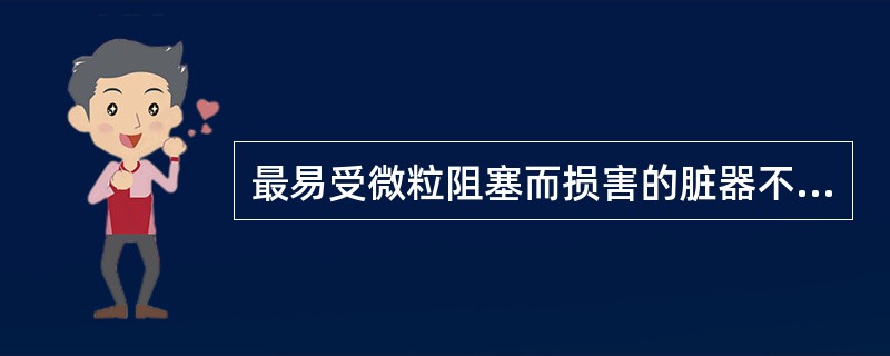 最易受微粒阻塞而损害的脏器不包括什么：（）