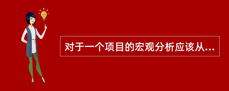 对于一个项目的宏观分析应该从政策环境、经济环境、文化环境和（）几个方面进行。