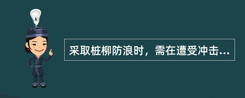 采取桩柳防浪时，需在遭受冲击破坏堤坡的（）顺堤线方向打设长桩一排。