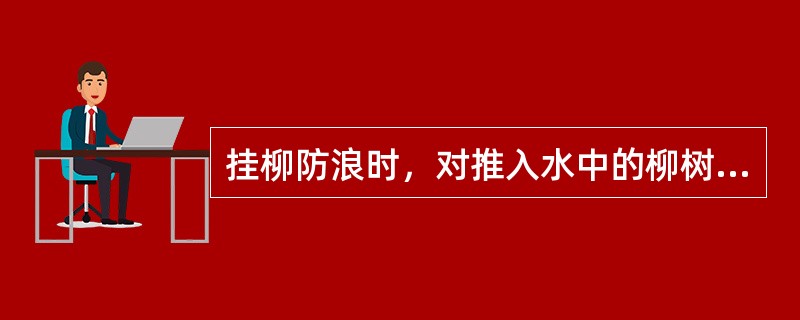 挂柳防浪时，对推入水中的柳树头或柳枝要坠压大块石或（）。
