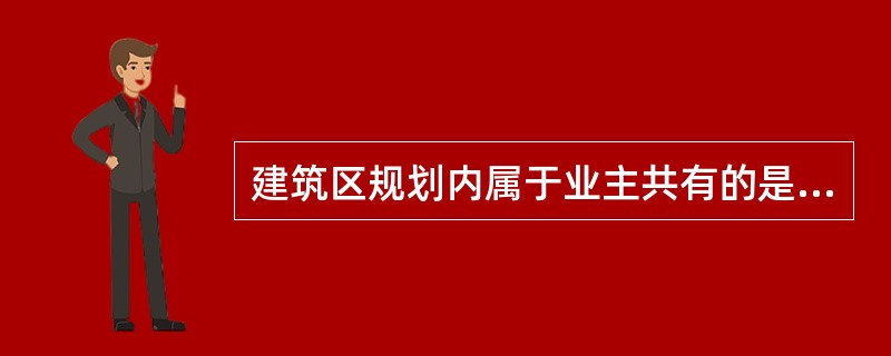 建筑区规划内属于业主共有的是哪些？