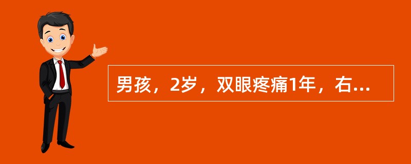男孩，2岁，双眼疼痛1年，右侧眼球突出。CT平扫如图：本病起源于（）