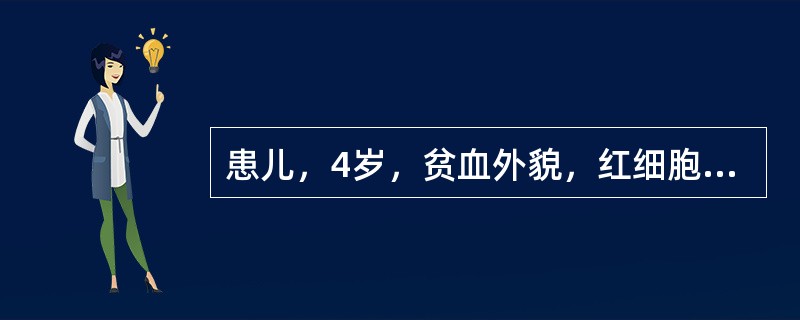 患儿，4岁，贫血外貌，红细胞3.5×1012／L，血红蛋白75g／L，MCV70