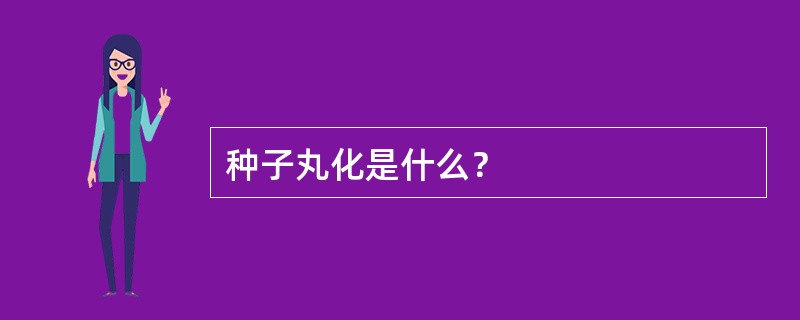 种子丸化是什么？