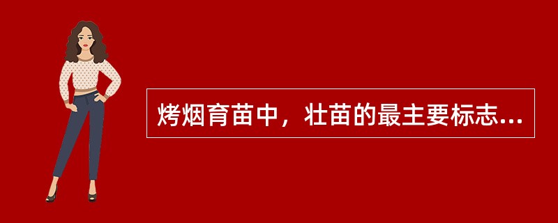 烤烟育苗中，壮苗的最主要标志是（）。