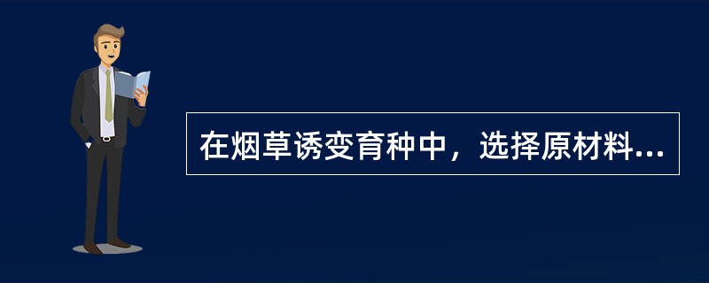 在烟草诱变育种中，选择原材料时应注意哪几点？