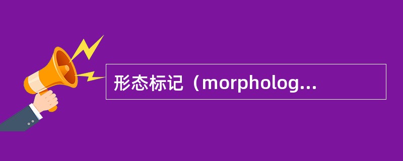 形态标记（morphological marker）