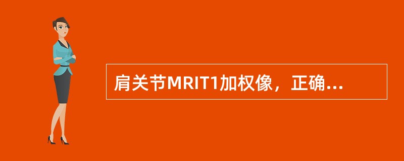 肩关节MRIT1加权像，正确的为（）