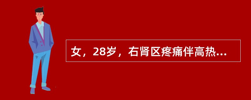 女，28岁，右肾区疼痛伴高热，根据所示图像，最可能的诊断是（）