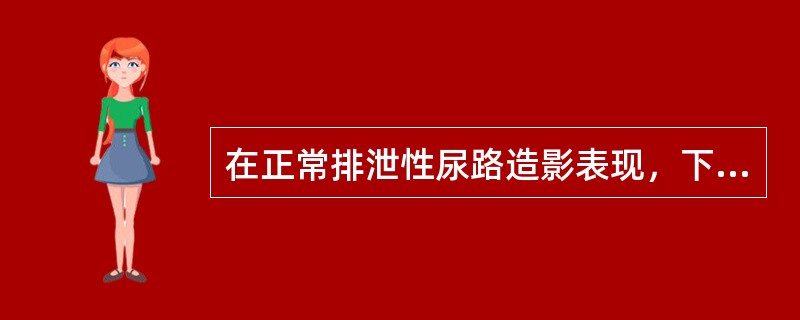 在正常排泄性尿路造影表现，下列哪些说法是正确的（）