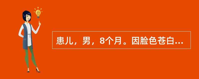 患儿，男，8个月。因脸色苍白3个月入院。3个月前开始脸色逐渐苍白。近1个月来嗜睡